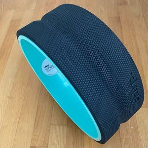 Chirp Wheel 12” size (gentle)